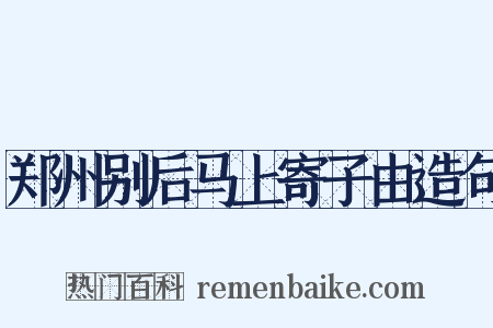 郑州别后马上寄子由造句是什么意思的图片